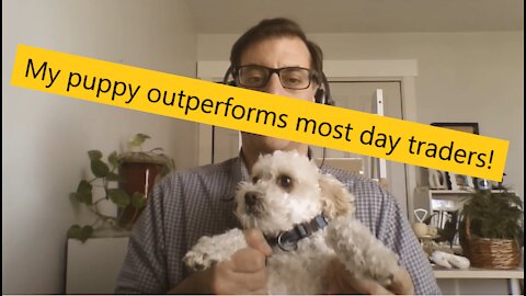 My Puppy Dog Outperforms Most Day Traders in this Stock Market. - Forex Copy Trading Tutorial.