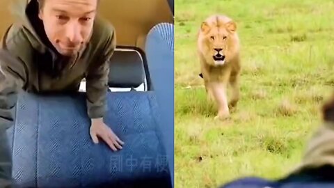 How smartly Bear Grylls catch Lion 🦁😰| Man vs wild