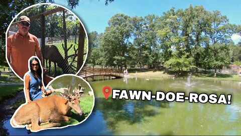The BEST Wildlife Park in Wisconsin - Find Out Why It's So Awesome