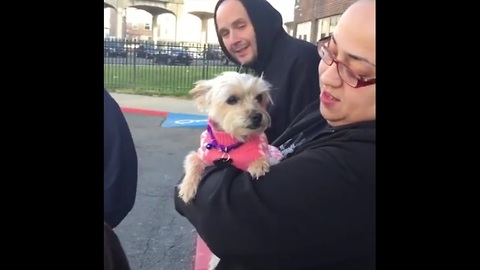 The moment a lost dog is reunited with her owners