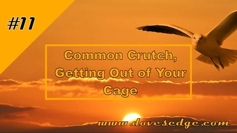 Episode 11: The Common Crutch, Getting Out of Your Cage, Mark 5:24-34