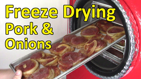 Freeze Drying Pork & Onions