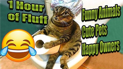 Try Not To laugh 😹: 1 Hour Of Funniest Animals Video 2023 #FunniestAnimals #CuteAnimals