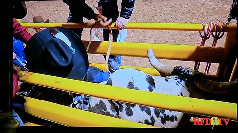 Bullrider knocked out