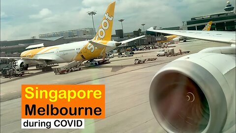 SCOOT BUSINESS CLASS // ScootPlus: B787-9 Singapore to Melbourne