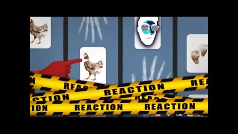 VOX REACTION | The Chicken Industry’s Worker Safety Problem