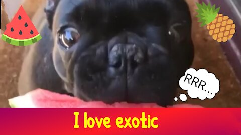 I love exotic