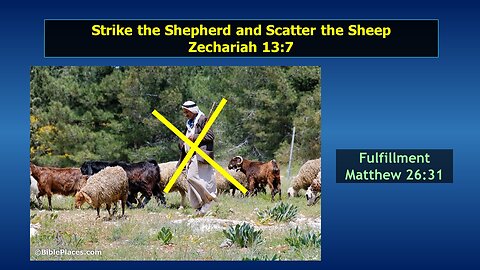 Video Bible Study: Zechariah - #19