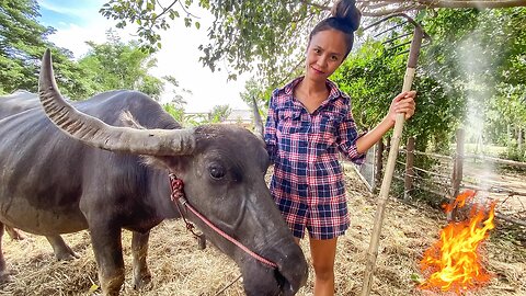 Villagers are burning again in rural Thailand...