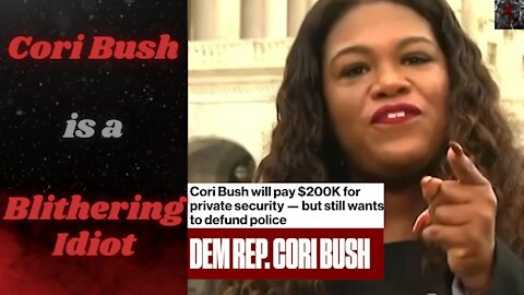 Democrat Cori Bush, In a Matter Of Moments, Calls to Defund the Police & Flaunts Her Security Bill