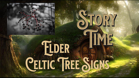 Celtic tree signs, Elder the 13th sign
