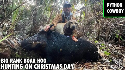 Hunting A Big Rank Boar Hog On Christmas Day In South Florida