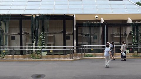 Monkeys and primates at Sapporo Maruyama Zoo in Sapporo, Hokkaido, Japan, Asia People, tourists and