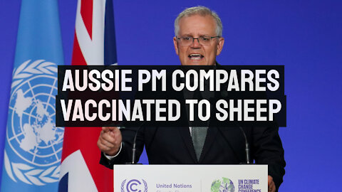 Aussie PM Compares Vaccinated to Sheep