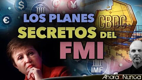 LOS PLANES DEL FMI | DESMONTANDO AL DÓLAR | Con Daniel Estulin