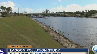 Lagoon pollution study on the Treasure Coast