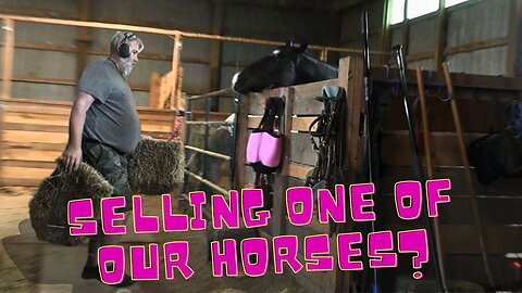 It's Time For A New Animal To Arrive and Selling One Of Our Horses?