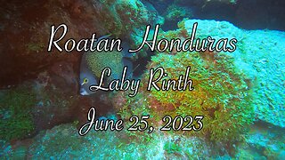 Roatan - Laby Rinth