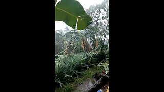 Typhoon Philippines