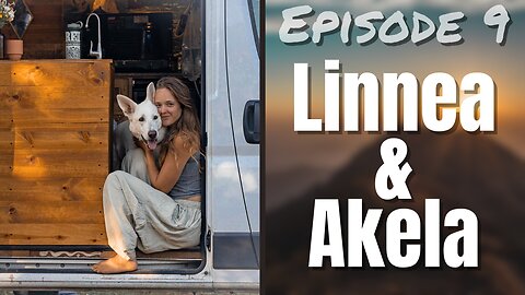 Van Life Full Time with Her Dog