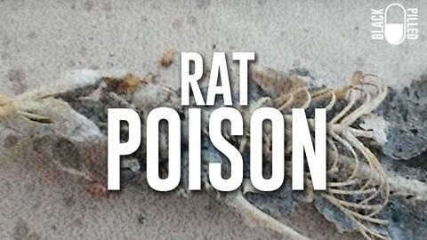 Blackpilled: Insomnia Stream #15: Rat Poison 7-18-2020