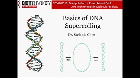 Supercoiling Muscles