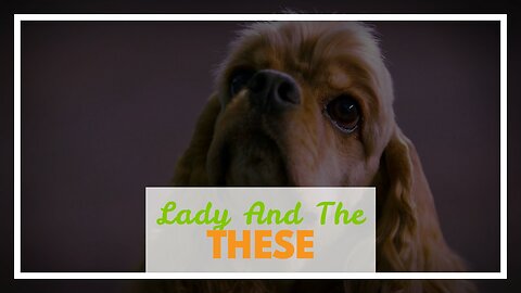 Lady And The Tramp: Why The Dogs Have Their Names