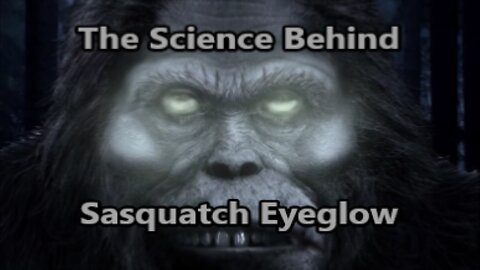 World Bigfoot Radio #148 pt.1 ~ The Science of Sasquatch Eyeglow/ Richard Soule