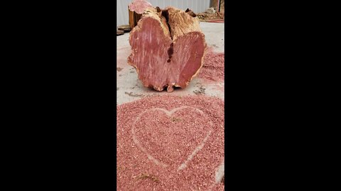 Amazing Red Cedar Heart wood for DIY rustic projects! #shortsvideo2022