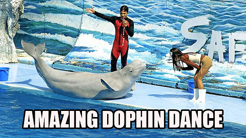 Amazing Dolphine Dancing Show In Safari World Dubai