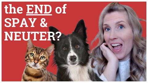 The End Of Spay And Neuter?