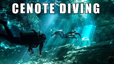 Cenote Diving in Mexico: All You Need To Know