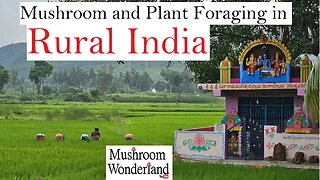Foraging in Rural India- Mushrooms and Plants