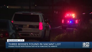 Three bodies found in vacant lot