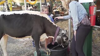 Mel visits the Cattaraugus County Fair