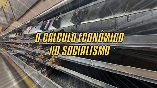 O Cálculo Econômico No Socialismo