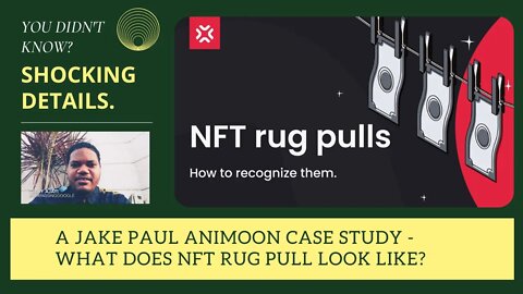 A Jake Paul Animoon Case Study - What Does NFT Rug Pull Look Like?