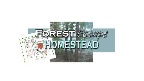 Forest Escape Homestead Repairs, Bees and Chicken Care