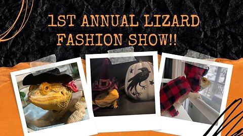 1st Annual Holiday Lizard Fashion Show!!!