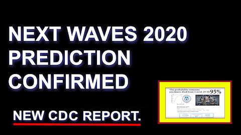 Next Waves 2020 Covid Prediction was 100% Correct.