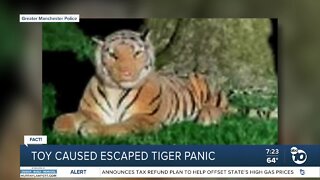 Fact or Fiction: Panic over escaped tiger caused by stuffed toy?