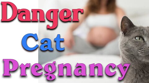 Why don't you clean out the cat litter box while pregnant? toxoplasma #shorts
