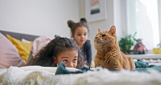 Kids Playing With Their Cat