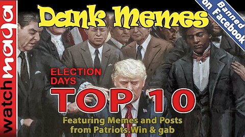 Election Days: TOP 10 MEMES