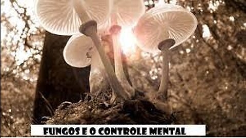 Fungos e o Controle Mental - A Guerra Espiritual no Mundo Micro