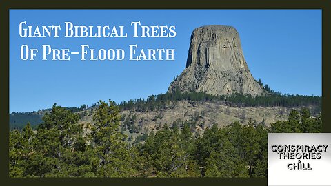 Giant Biblical Trees Of Pre-Flood Earth