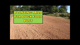Planting the duck pond food plot in Milo! Waterfowl food plot ON!