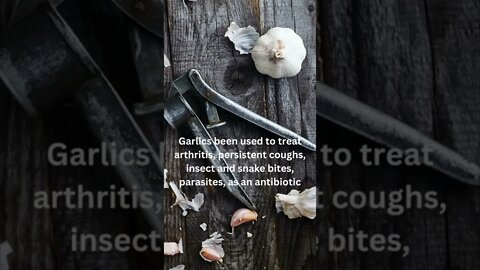 Garlic - Winters Coming - What you need to know