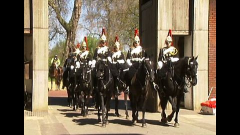 Royal Horses Get Health Check