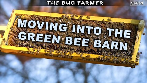 Action Heroes and Taking Action | Moving Army hive into the Bee Barn #beekeeper #beekeeping #bees
